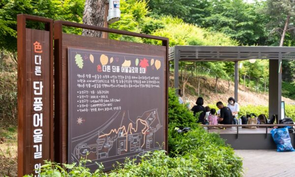 나무를 적절하게 관리하고 땅을 안전하게 지키세요